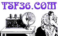 TSF36
